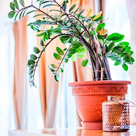 Loft1620 Apartment Grächen