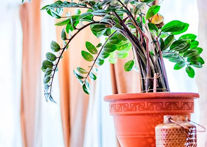 Loft1620 アパート グレヘン